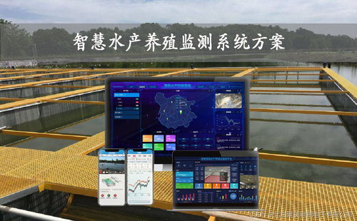 养殖环境监测系统方案 守护养殖健康的智慧之眼